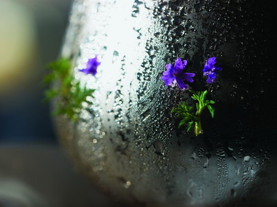 Starwood Spa Collection